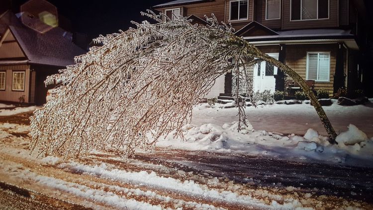 Freezing rain warning