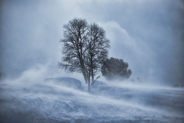 Snow squall warning