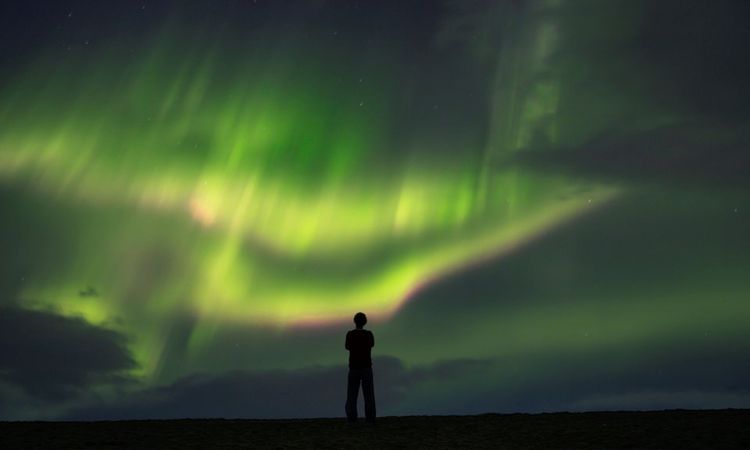 Aurora forecast