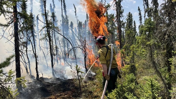 Jasper Fire