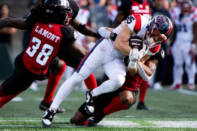 Alouettes