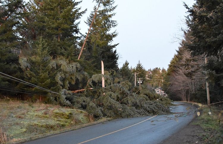 Wind warning