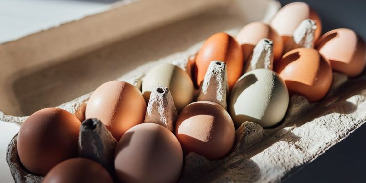 Costco recalls eggs