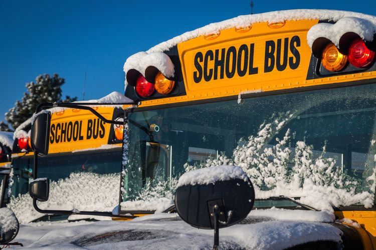 School bus cancellations